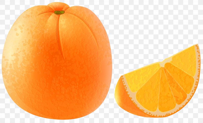 Mandarin Orange Tangerine Clip Art, PNG, 8000x4886px, Orange, Calabaza, Citric Acid, Citrus, Commodity Download Free