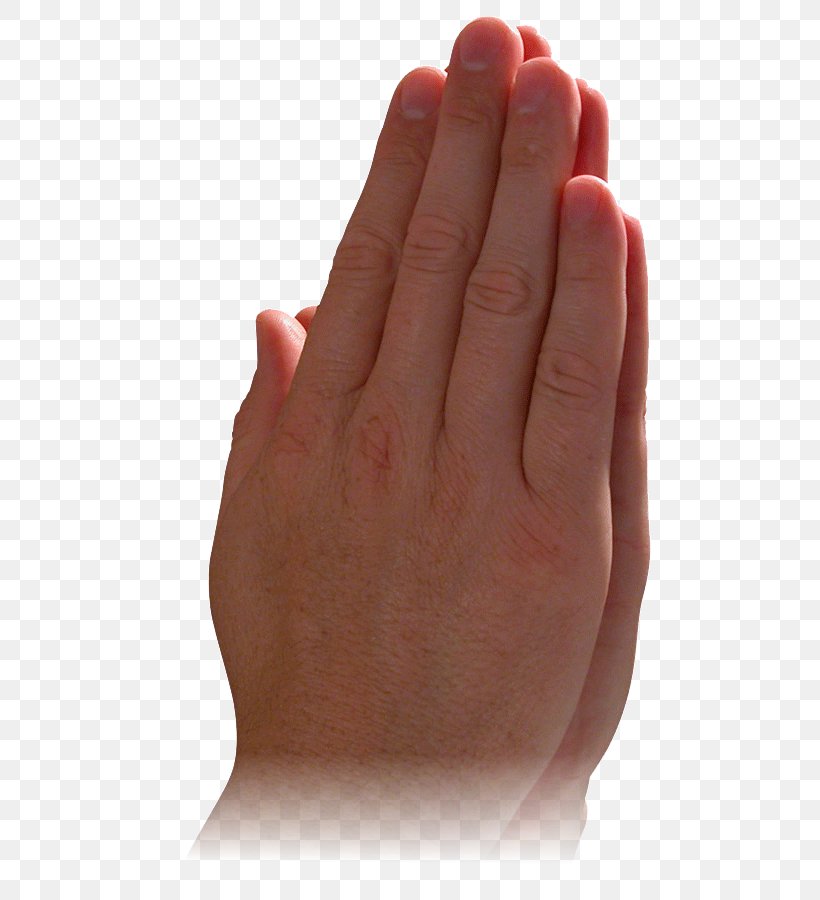 Praying Hands Prayer God Child Religion, PNG, 538x900px, Praying Hands, Child, Christianity, Faith, Family Download Free
