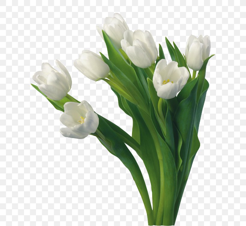 Tulip Flower Image Desktop Wallpaper Clip Art, PNG, 650x756px, Tulip, Artificial Flower, Bud, Cut Flowers, Floral Design Download Free