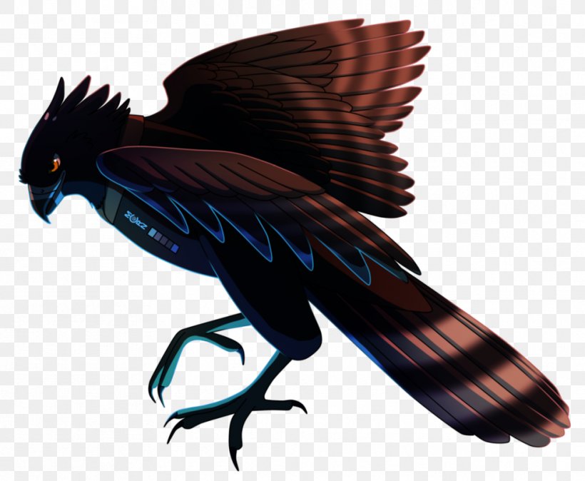 Black Hawk-eagle Accipitridae Bird, PNG, 986x811px, Eagle, Accipitridae, Art, Beak, Bird Download Free