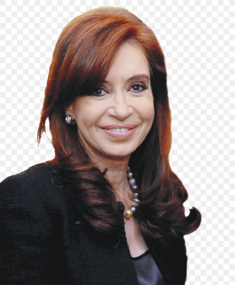 Cristina Fernández De Kirchner Management Business Vice President Board Of Directors, PNG, 873x1058px, Management, Argentina, Board Of Directors, Brown Hair, Business Download Free