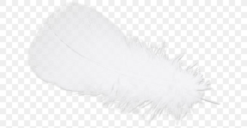 Feather White Black, PNG, 650x426px, Feather, Black, Black And White, Monochrome, Monochrome Photography Download Free