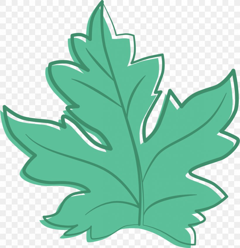 Maple Leaf Fruit Clip Art, PNG, 1204x1248px, Maple Leaf, Cucumber, Drawing, Fruit, Leaf Download Free