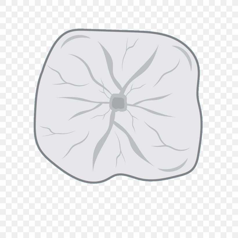 Petal Drawing White, PNG, 1024x1024px, Petal, Black And White, Drawing, Flower, Leaf Download Free