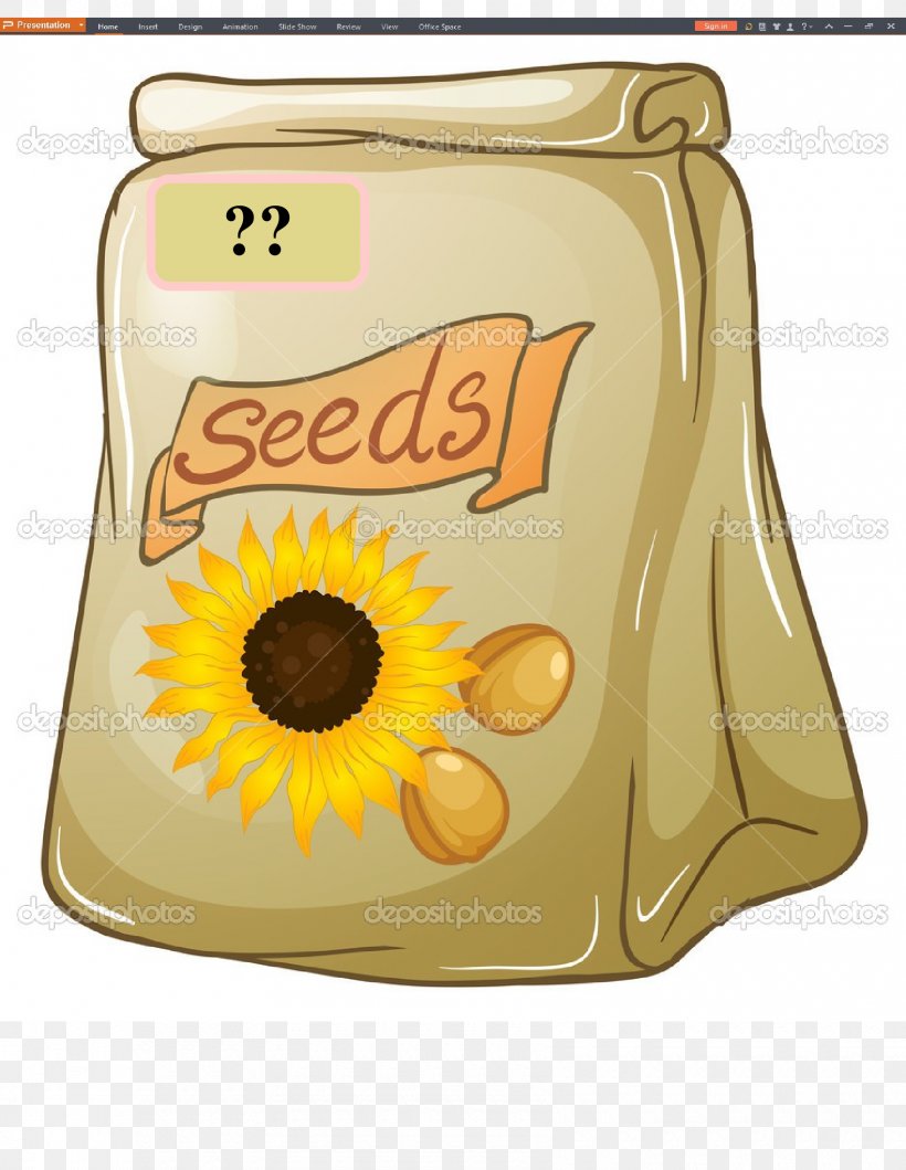 Royalty-free Sunflower Seed, PNG, 1700x2197px, Royaltyfree, Flower, Flowering Plant, Fotosearch, Nut Download Free