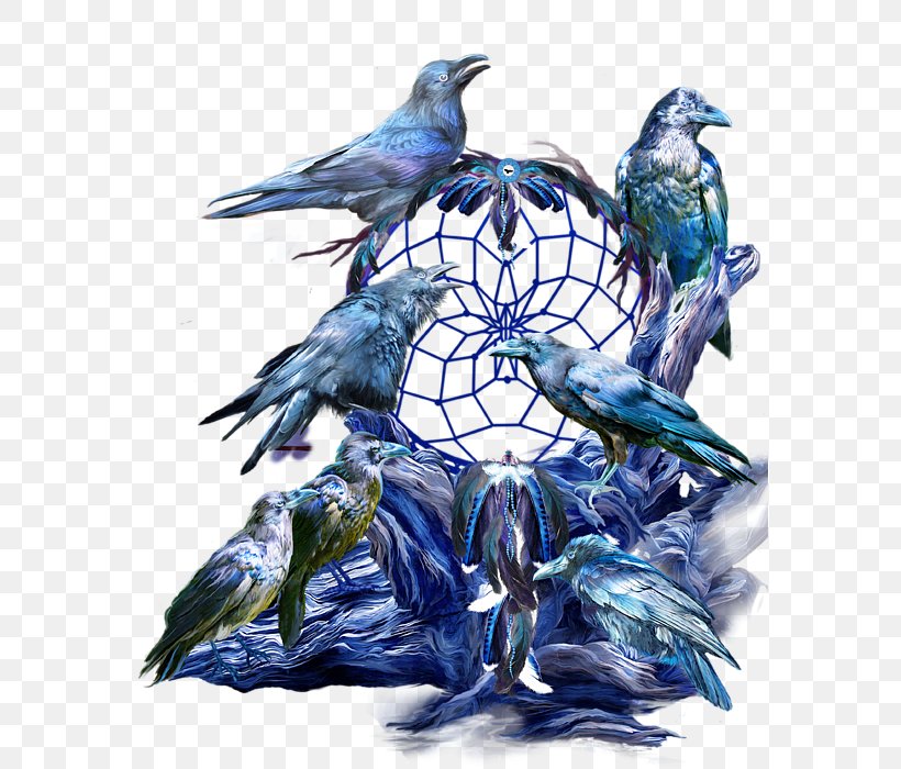 Bird Illustration Beak Painting Feather, PNG, 578x700px, Bird, Art, Beak, Crow Like Bird, Cuteness Download Free