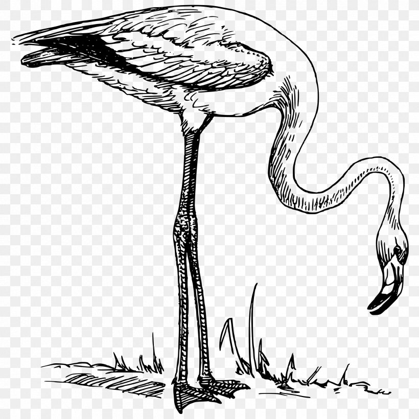 Flamingo Clip Art, PNG, 2400x2400px, Flamingo, Art, Beak, Bird, Black And White Download Free
