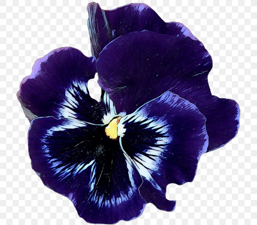 Blue Iris Flower, PNG, 718x720px, Pop Art, African Violets, Blue, Common Blue Violet, Drawing Download Free