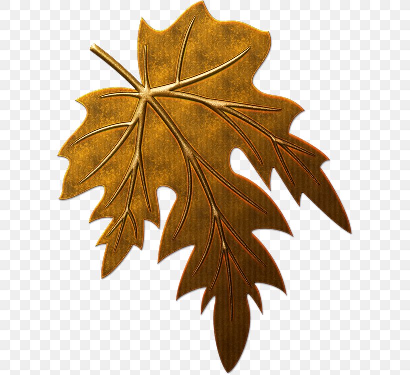 Leaf Clip Art, PNG, 594x750px, Leaf, Ansichtkaart, Art, Blog, Maple Leaf Download Free