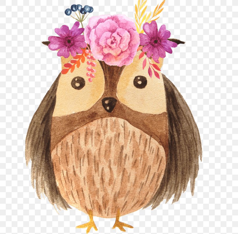 Owl Bird Illustration Logo Photography, PNG, 804x804px, Owl, Bird, Bird Of Prey, Brown Hair, Chicken Download Free