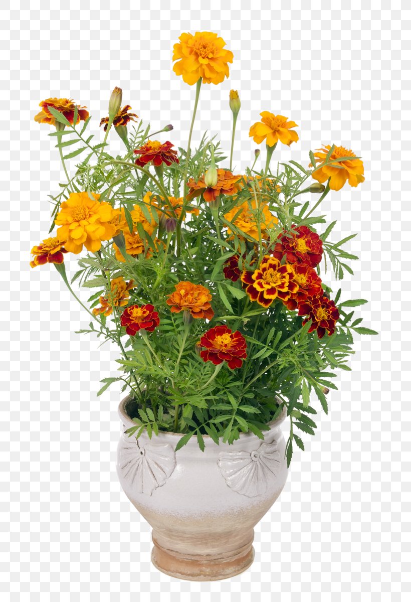 Floral Design Flowerpot Marigold Cut Flowers, PNG, 800x1200px, Floral Design, Annual Plant, Artificial Flower, Calendula, Calendula Officinalis Download Free
