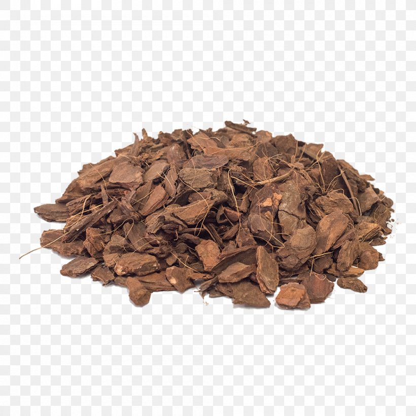 Hōjicha Cocoa Bean Commodity Flavor Theobroma Cacao, PNG, 1000x1000px, Hojicha, Cocoa Bean, Commodity, Dianhong, Flavor Download Free