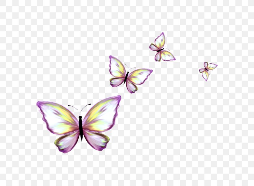 Monarch Butterfly Clip Art, PNG, 600x600px, Butterfly, Animal, Body Jewelry, Brush Footed Butterfly, Butterflies And Moths Download Free