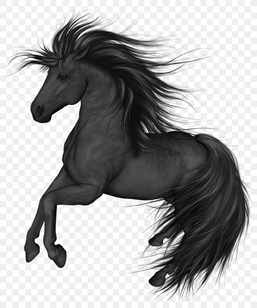 Mustang Stallion Arabian Horse Black Colt, PNG, 1042x1246px, Mustang, Arabian Horse, Black, Black And White, Bridle Download Free