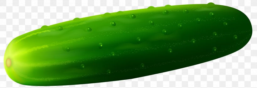 Pickled Cucumber Vegetable Clip Art, PNG, 3500x1205px, Cucumber, Cucumber Gourd And Melon Family, Cucumis, Food, Fruit Download Free