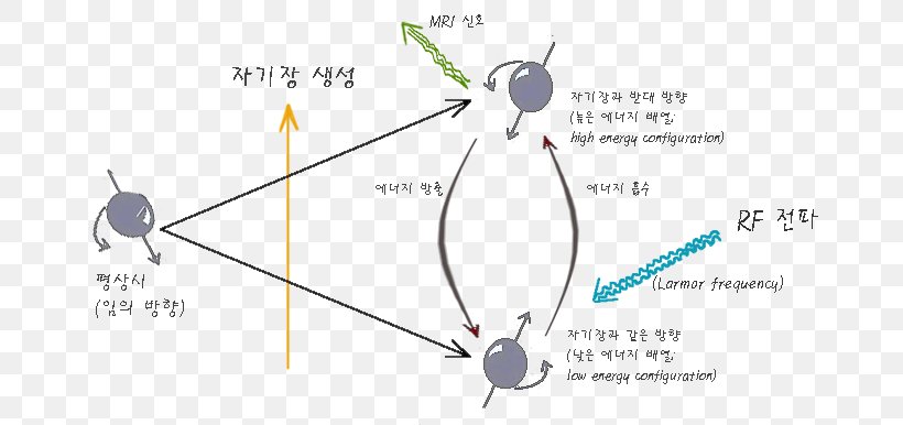 Product Design Line Point Angle, PNG, 666x386px, Point, Animal, Area, Diagram, Organism Download Free
