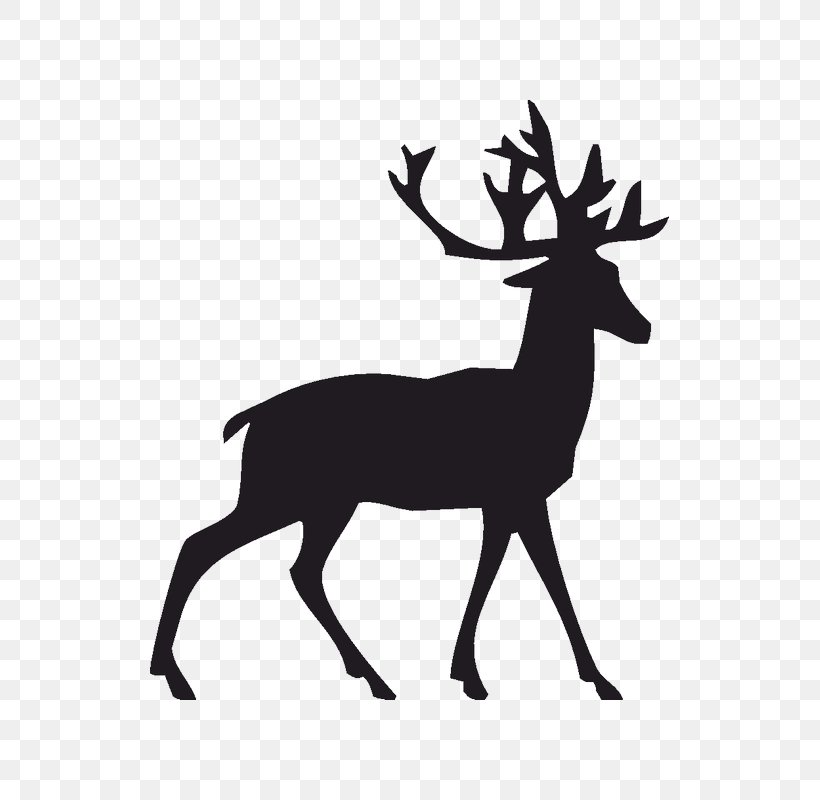 Reindeer Clip Art Rudolph White-tailed Deer, PNG, 800x800px, Deer, Animal Silhouettes, Antler, Black And White, Christmas Day Download Free