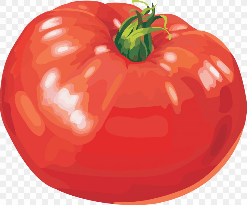 Tomato Clip Art, PNG, 3523x2929px, Chicken Curry, Apple, Bell Pepper, Bell Peppers And Chili Peppers, Blue Tomato Download Free