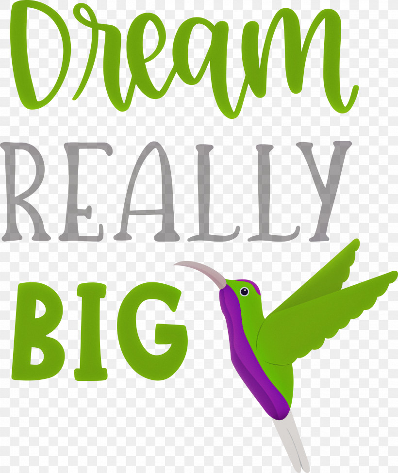 Dream Really Big Dream Dream Catcher, PNG, 2523x3000px, Dream, Beak, Birds, Dream Catcher, Line Download Free