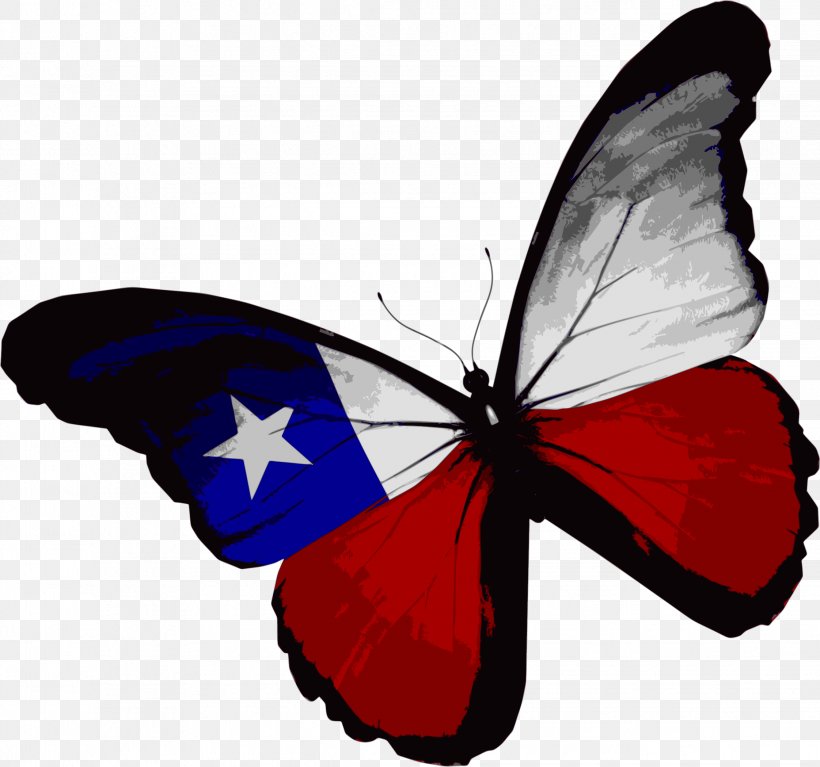 Flag Of Texas Butterfly Flag Of The United States, PNG, 2244x2100px, Texas, Arthropod, Brush Footed Butterfly, Butterfly, Flag Download Free