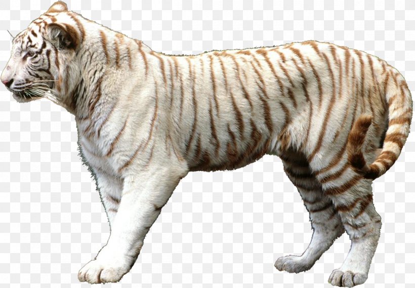 Lion Felidae Cat Leopard Tigerin Unter Palmen, PNG, 1200x833px, Lion, Animal, Animal Figure, Bengal Tiger, Big Cat Download Free
