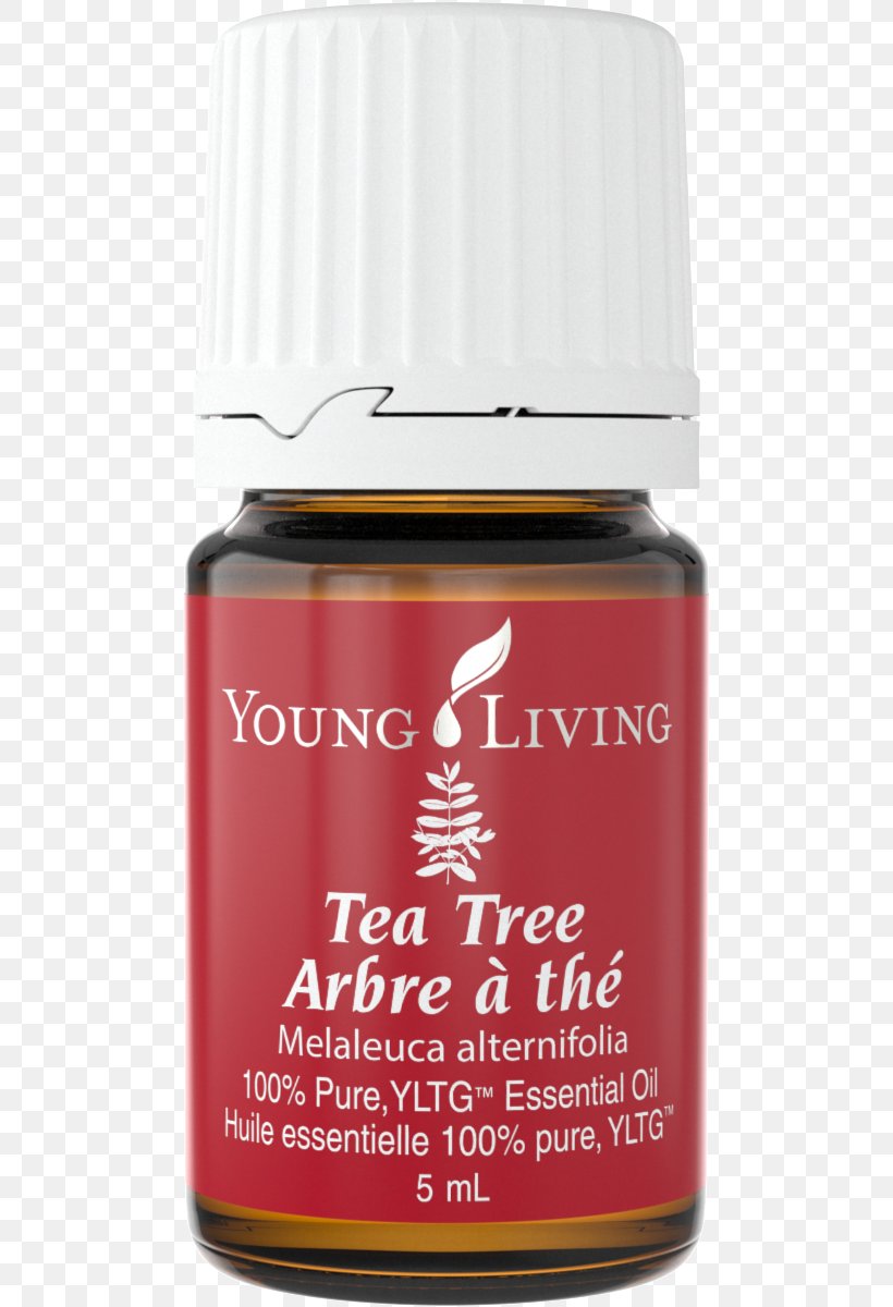 Young Living Essential Oil 15ml Vetiver By Young Living, PNG, 486x1200px, Essential Oil, Frankincense, Grapefruit, Liquid, Narrowleaved Paperbark Download Free