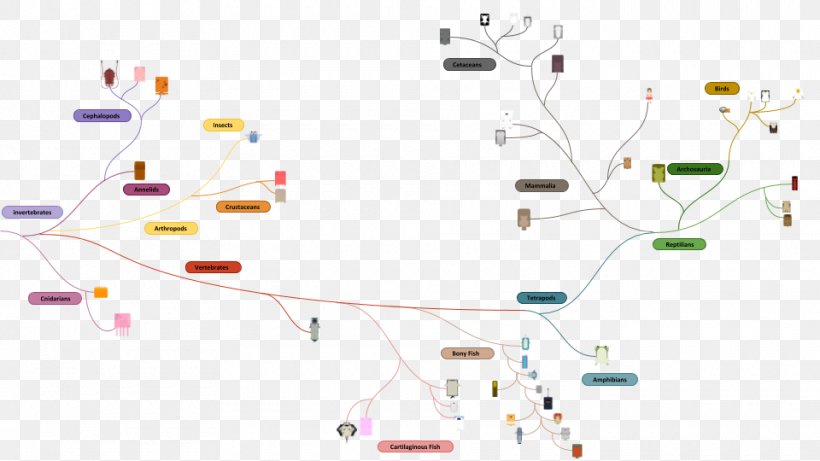Deeeep.io Evolution Phylogenetic Tree Life Diagram, PNG, 960x540px, Deeeepio, Animal, Diagram, Evolution, Life Download Free
