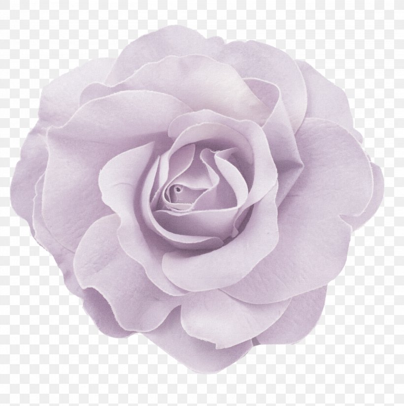Flower Pink Color, PNG, 2815x2835px, Flower, Artificial Flower, Blue, Color, Creative Work Download Free