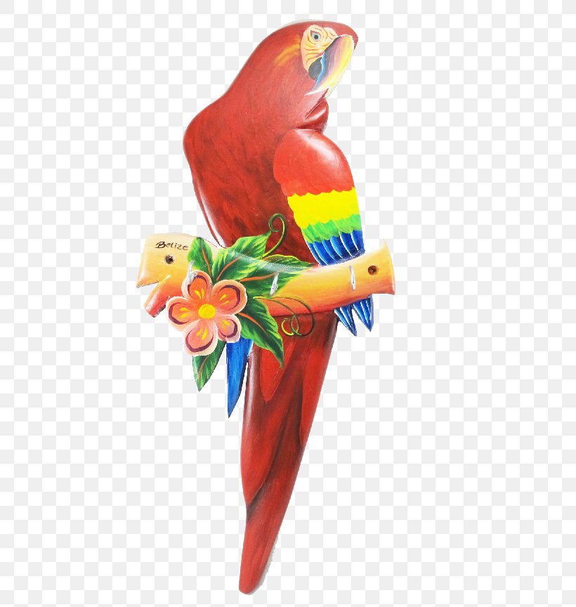 Macaw Loriini Bird Parakeet Beak, PNG, 709x864px, Macaw, Beak, Bird, Bird Supply, Common Pet Parakeet Download Free