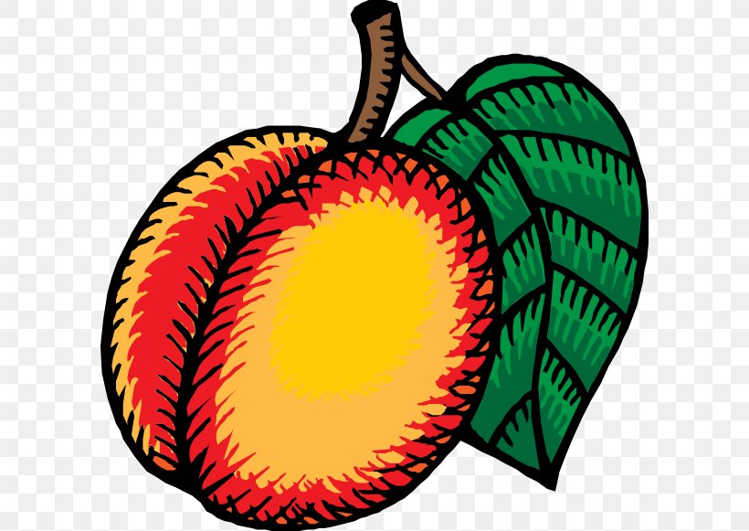 Nectarine Clip Art, PNG, 600x581px, Nectarine, Dried Fruit, Food, Fruit, Leaf Download Free