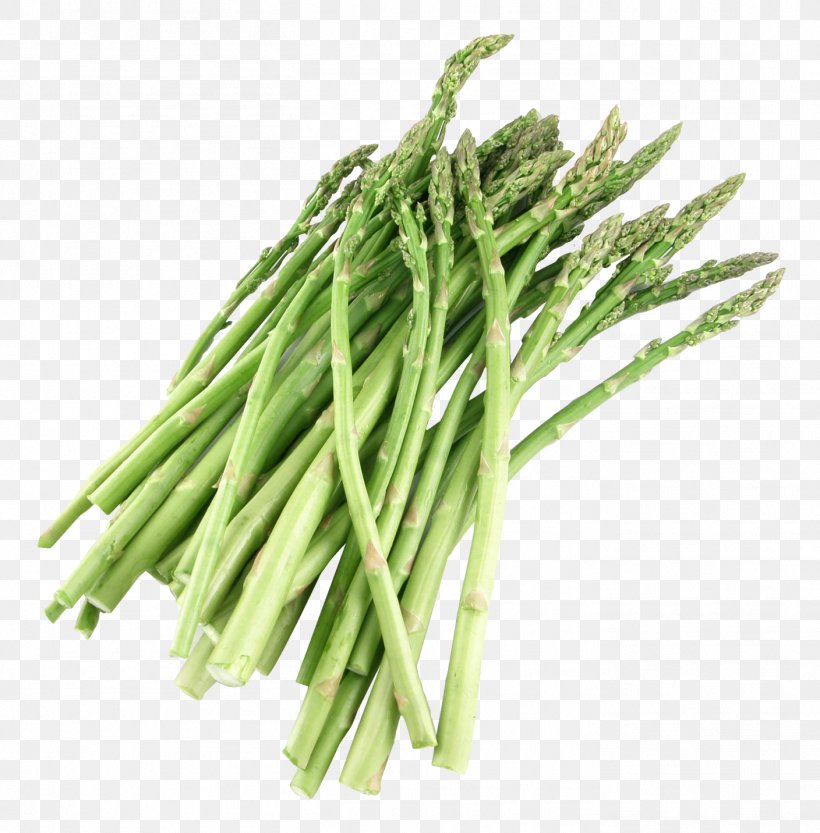 Clip Art Asparagus Image Vector Graphics, PNG, 1408x1432px, Asparagus, Chives, Flowering Plant, Food, Garlic Chives Download Free
