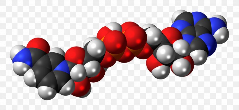 Chemical Energy Acid Space-filling Model Chemical Reaction Molecule, PNG, 2168x1000px, Chemical Energy, Acid, Adenine, Adenosine Triphosphate, Anioi Download Free