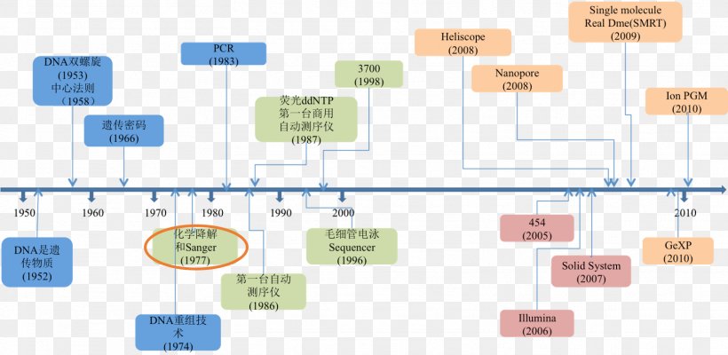 DNA Sequencing Sanger Sequencing Whole Genome Sequencing, PNG, 1614x788px, Dna Sequencing, Bioinformatics, Diagram, Dna, Frederick Sanger Download Free