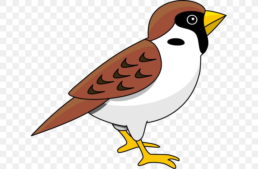 Eurasian Tree Sparrow Bird Clip Art, PNG, 624x538px, Eurasian Tree Sparrow, Animal, Artwork, Beak, Bird Download Free