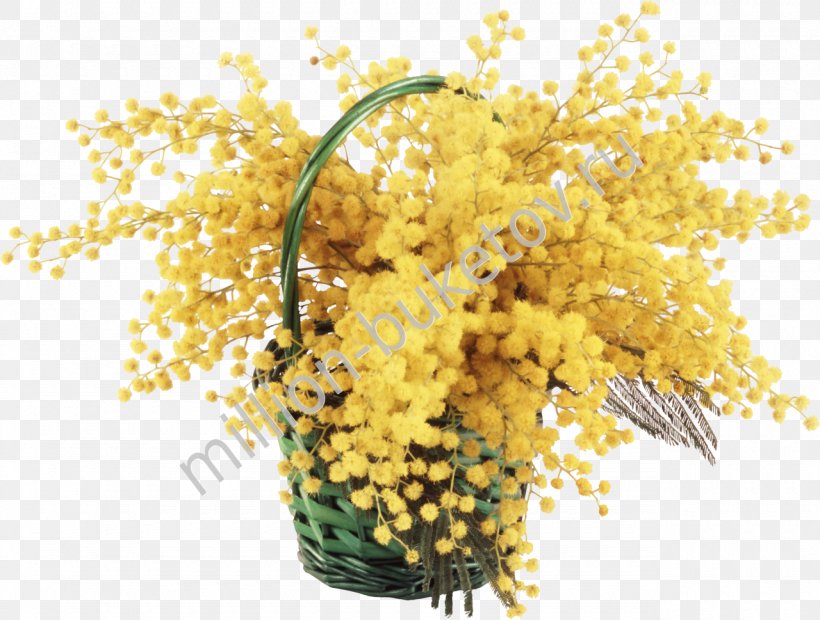 Mimosa Flower Bouquet Desktop Wallpaper Wallpaper, PNG, 1280x969px, Mimosa, Color, Commodity, Common Sunflower, Cut Flowers Download Free