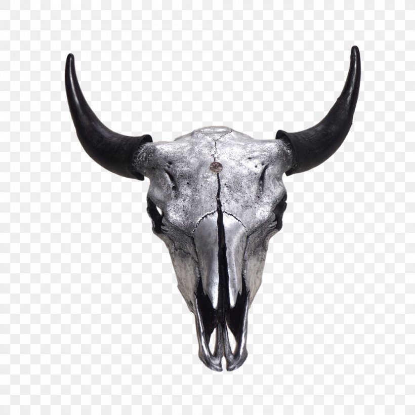 Skull Snout, PNG, 1000x1000px, Skull, Bone, Bovine, Bull, Cowgoat Family Download Free