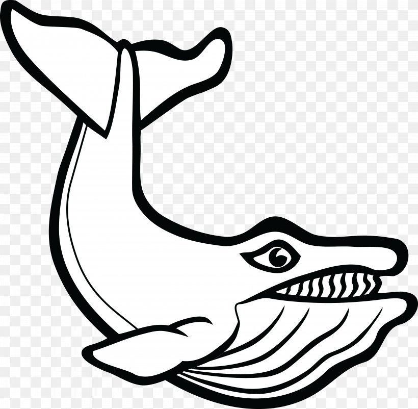 Cetacea Mammal Beluga Whale Porpoise Clip Art, PNG, 4000x3914px, Cetacea, Animal, Art, Artwork, Beak Download Free