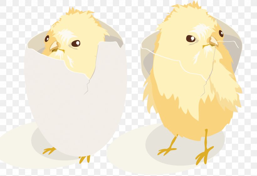 Chicken Collection Euclidean Vector Illustration, PNG, 1600x1100px, Chicken, Art, Beak, Bird, Bird Of Prey Download Free