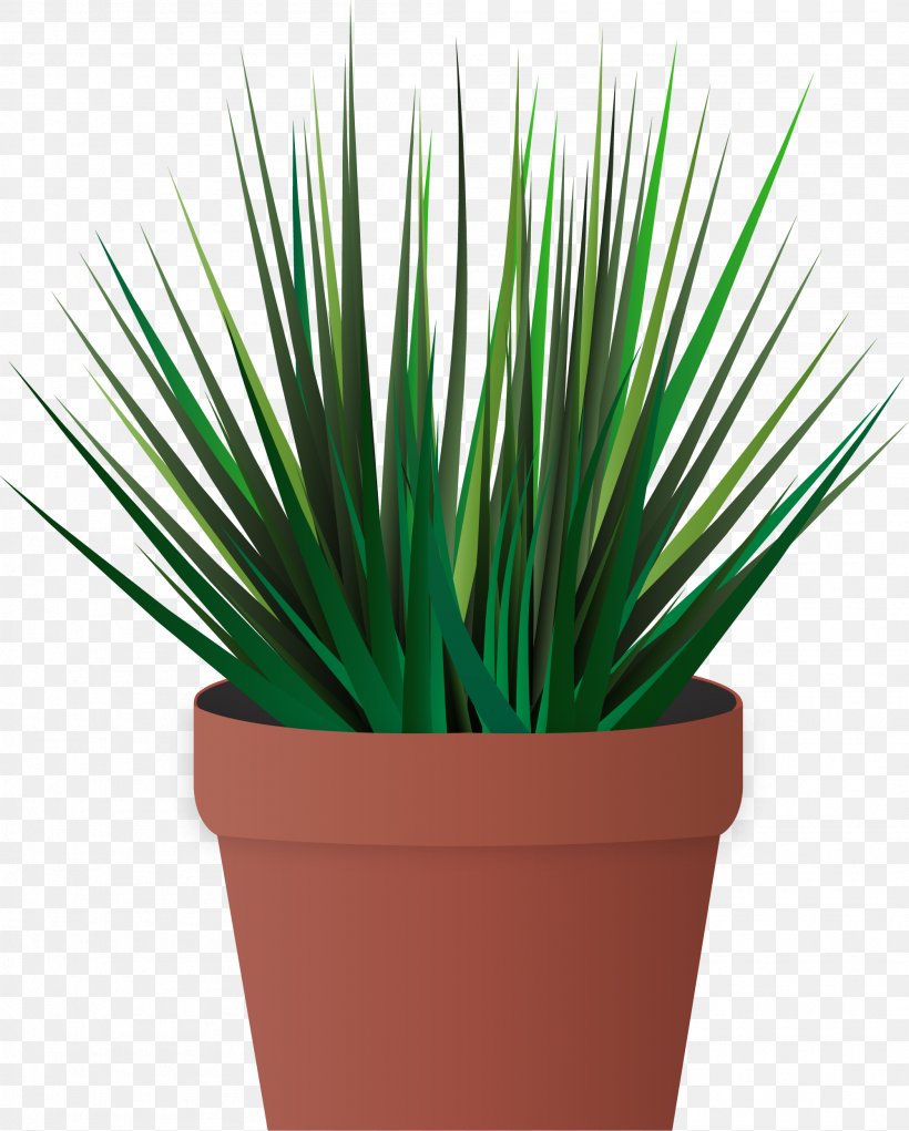 Designer, PNG, 2001x2492px, Designer, Flowerpot, Google Images, Grass, Grass Family Download Free