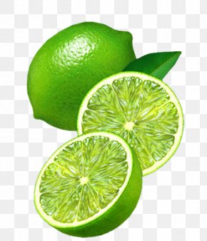 Clip Art Key Lime Fruit, PNG, 800x724px, Lime, Bitter Orange, Citric ...