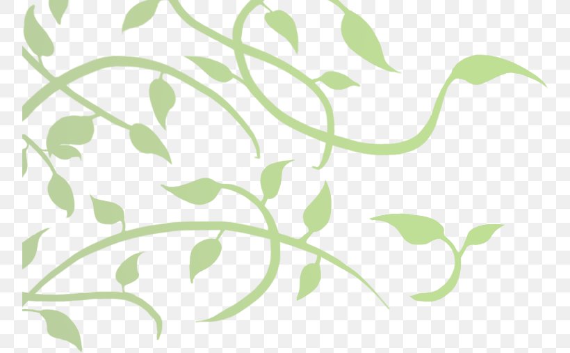 Leaf Plant Stem Pattern, PNG, 756x507px, Leaf, Branch, Flora, Grass, Green Download Free