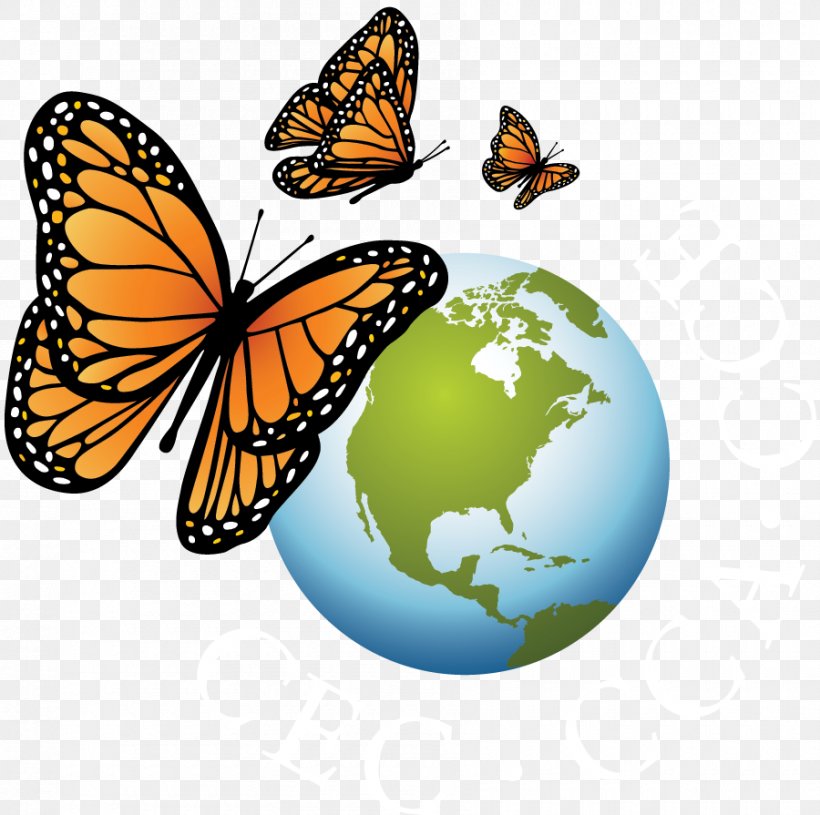 United States Commission For Environmental Cooperation North American Agreement On Environmental Cooperation North American Free Trade Agreement Organization, PNG, 900x895px, United States, Americas, Brush Footed Butterfly, Butterfly, Canada Download Free