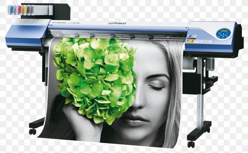 Wide-format Printer Roland Corporation Printing Roland DG, PNG, 1024x631px, Wideformat Printer, Communication Design, Digital Printing, Ink, Inkjet Printing Download Free