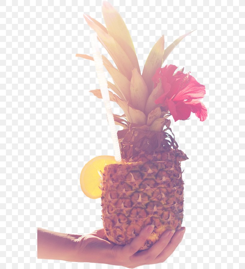 Pineapple Privacy Policy 0 February 1, PNG, 572x900px, 2017, 2018, Pineapple, Ananas, Bromeliaceae Download Free