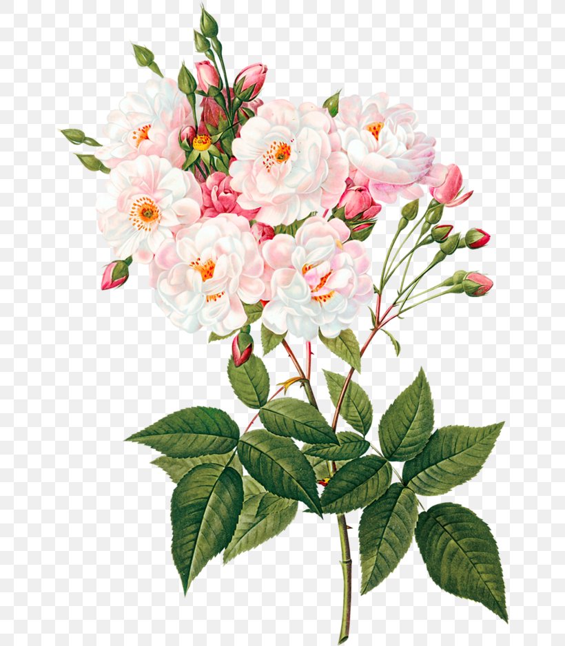 Rose Floral Design Flower Almond Blossoms Decal, PNG, 658x938px, Rose, Almond Blossoms, Blossom, Branch, Camellia Download Free
