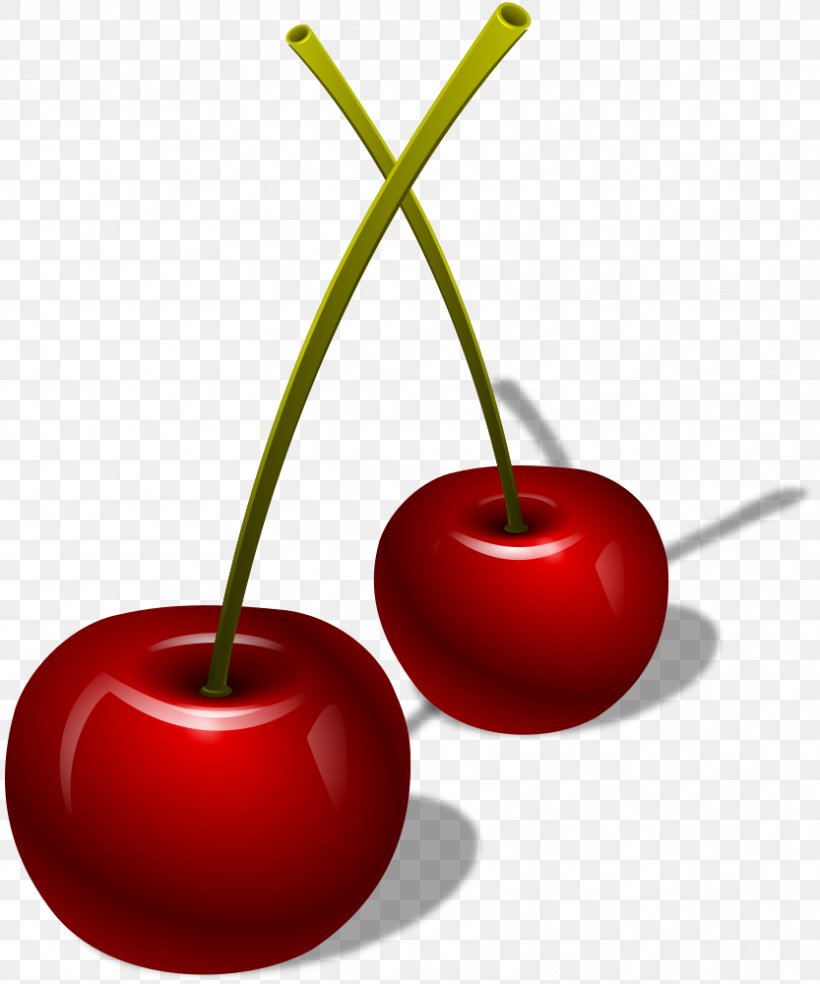 Berries Clip Art Vector Graphics Cherries, PNG, 833x1000px, Berries, Berry, Blackberry, Blueberry, Cerasus Download Free