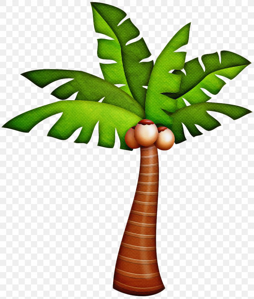 Coconut Leaf Drawing, PNG, 1085x1280px, Palm Trees, Arecales, Asian Palmyra Palm, Branch, Coconut Download Free
