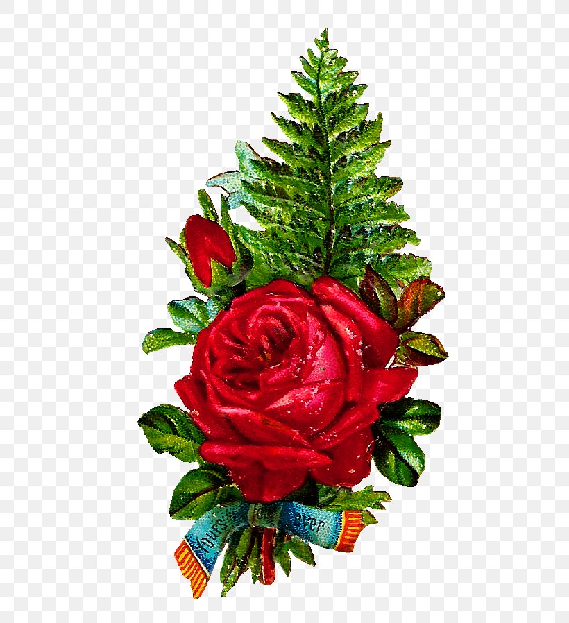 Cut Flowers Garden Roses Flower Bouquet, PNG, 517x898px, Cut Flowers, Christmas, Christmas Decoration, Christmas Ornament, Christmas Tree Download Free