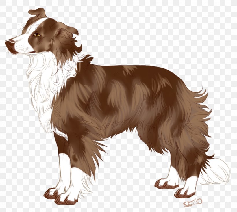 Dog Breed Border Collie Companion Dog Spaniel Rough Collie, PNG, 945x846px, Dog Breed, Border Collie, Breed, Carnivoran, Companion Dog Download Free