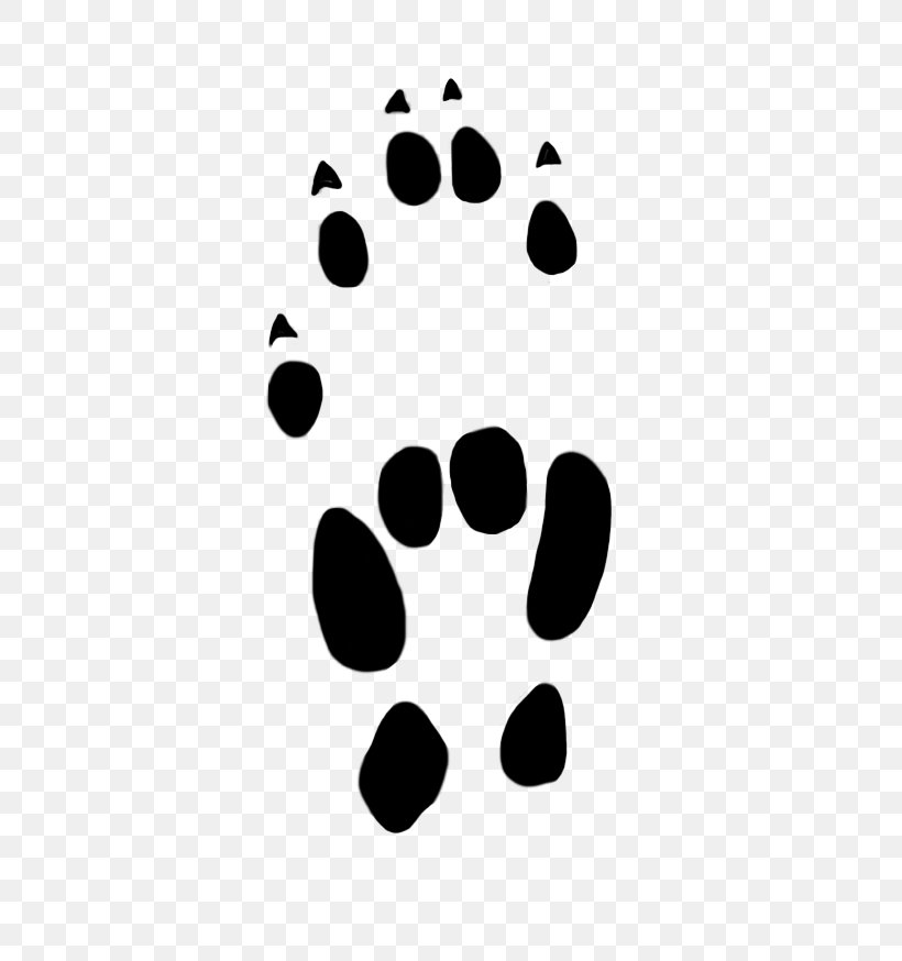 Paw Computer Mouse Cat Clip Art, PNG, 442x874px, Paw, Animal Track, Black, Black And White, Cat Download Free